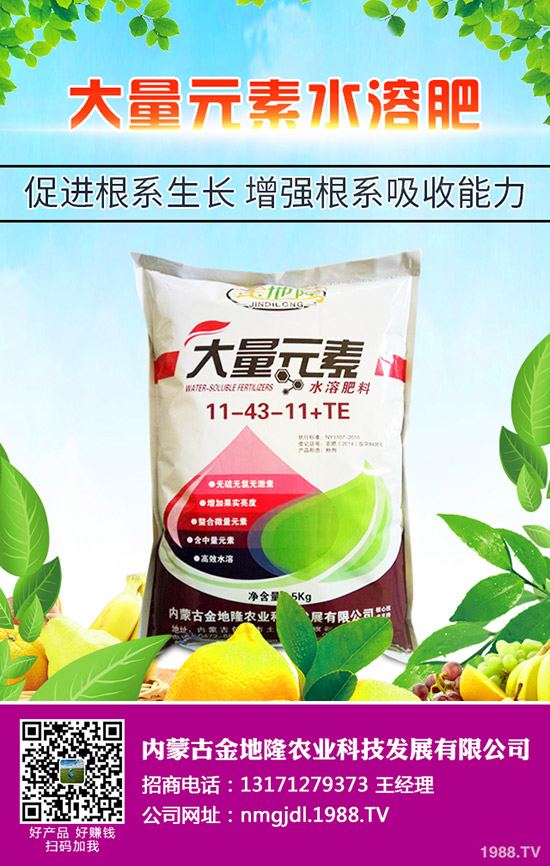 2020春玉米更佳播种时间，春玉米的播种技术要点