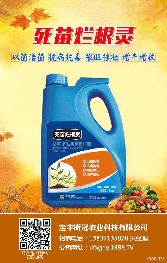 菜豌豆死苗怎么办？菜豌豆死苗有效防治技巧