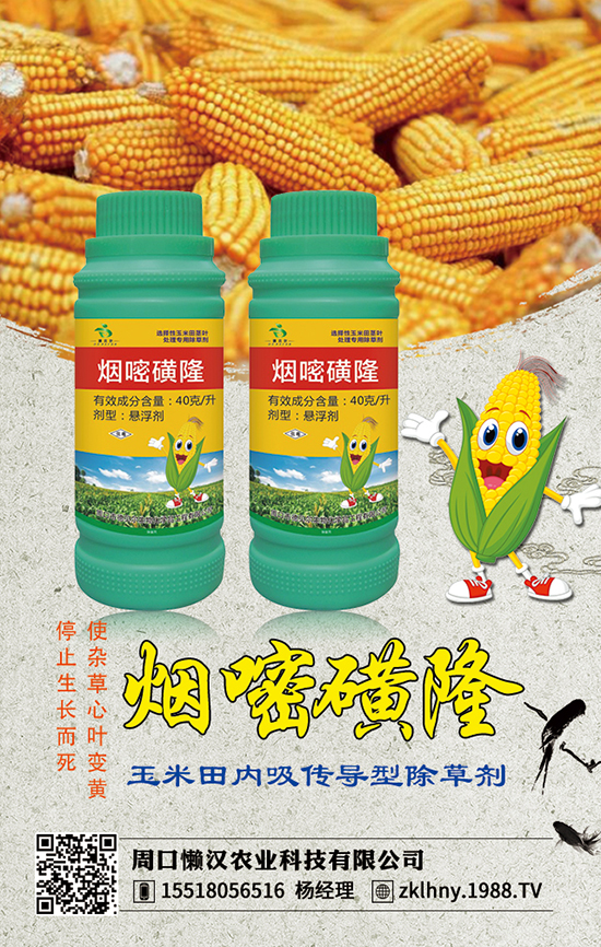 周口懒汉农业科技有限公司1