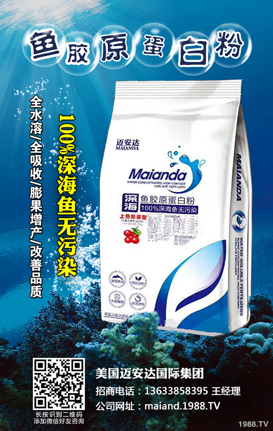 小麦播种多少合适，怎样播种小麦高产？