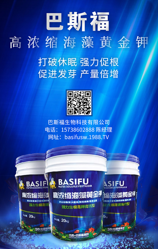 玉米施肥的更佳时间是啥时候？ 咋样施效果好？