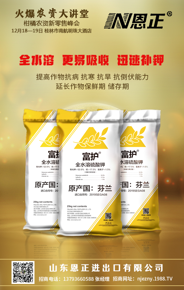 山东恩正进出口有限公司1