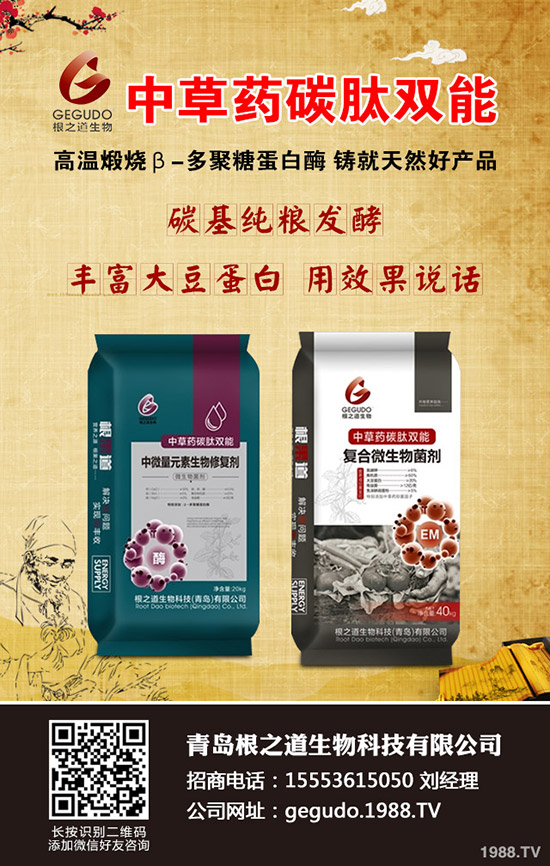 大麦播种您真的会吗，大麦播种时间及技巧！