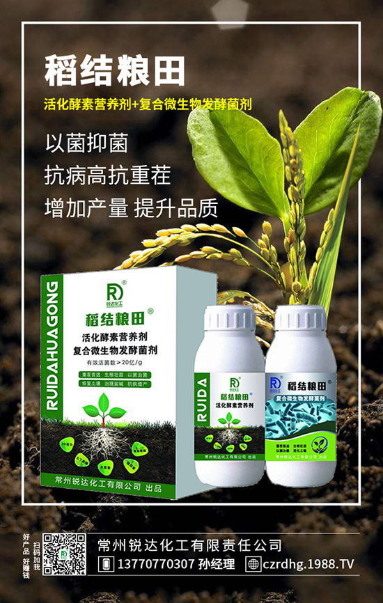 玉米异常苗症状 玉米异常苗防治方法