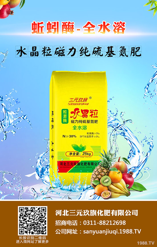 棉花播种前需要准备哪些工作,棉花播种要点有哪些?