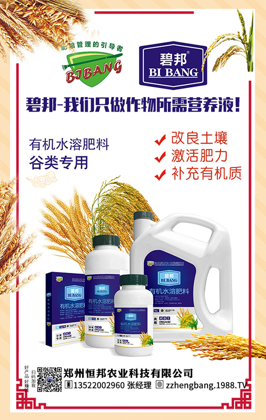 粘玉米种植高产技术 粘玉米种植