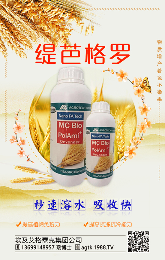 埃及艾格泰克集团公司