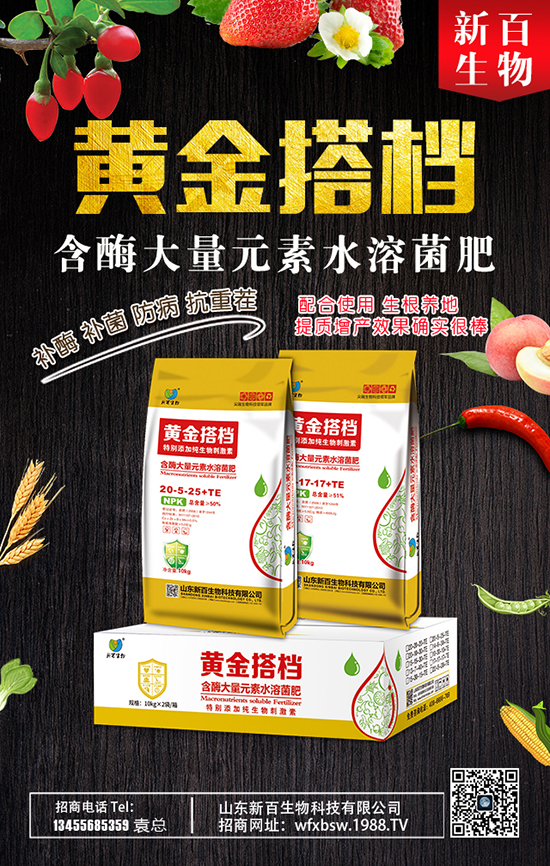 玉米故乡 玉米品种
