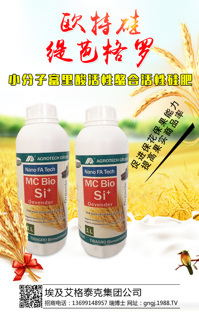 埃及艾格泰克集团公司