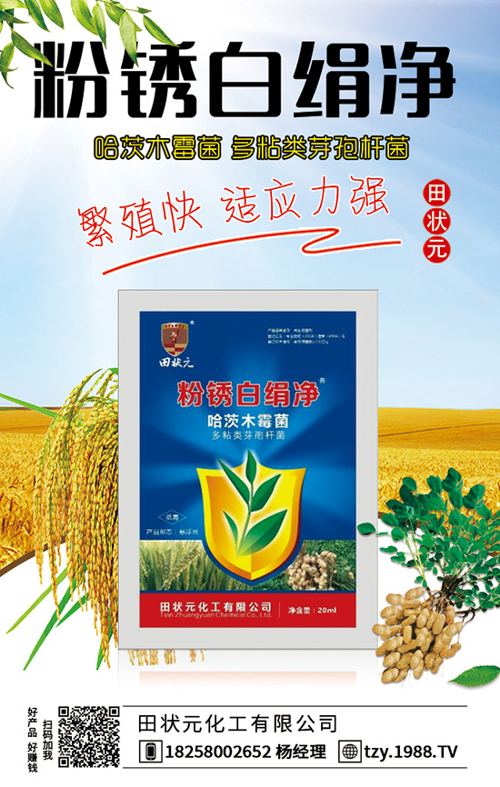 玉米杀虫剂防治虫害措施 玉米杀虫剂注意要点