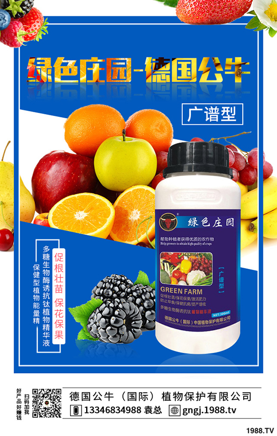 如何种植紫薯更高产，紫薯的种植方法与前景！