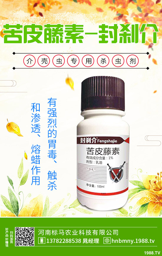 南方水稻什么时候播种,水稻播种育苗要点,快来看看