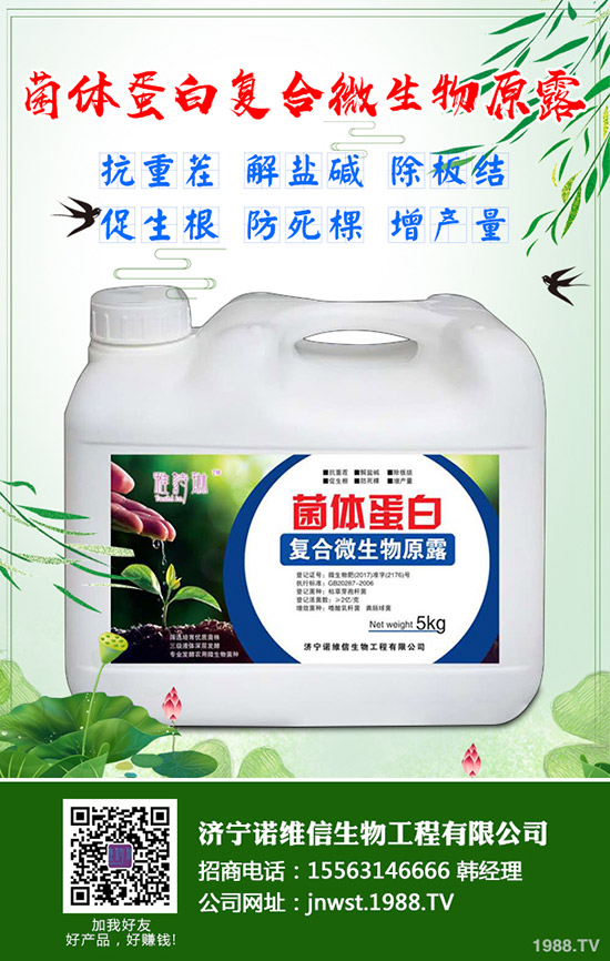大豆施用硼肥有哪些好处?大豆施用硼肥的技术!