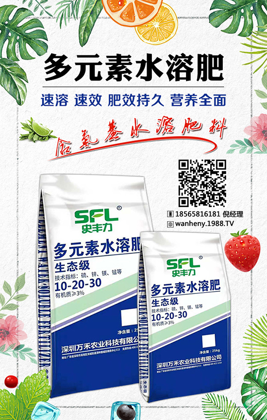 高产玉米种子 玉米种子鉴别方法