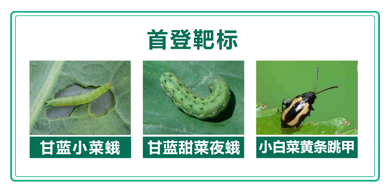 泰禾股份自主创制的环丙氟虫胺系列产品国内首登