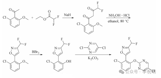新型双重作用机理除草剂——嘧啶草噁唑 新型双重作用机理除草剂——嘧啶草噁唑