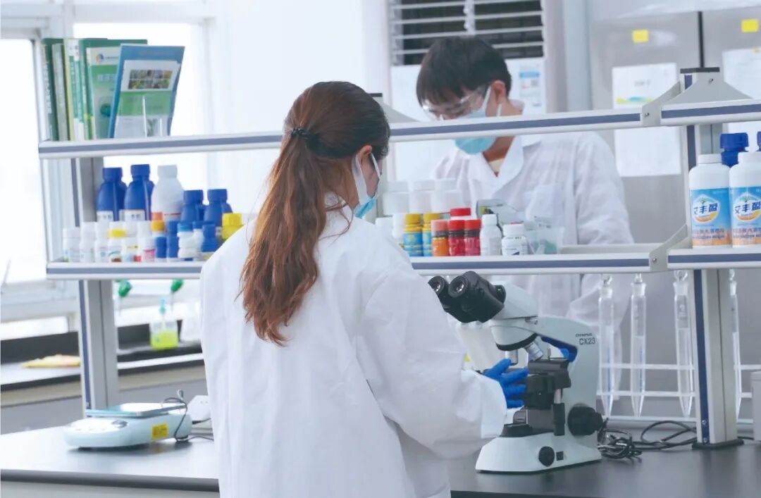 艾津集团销售额近15亿元，其创新产品独具匠心