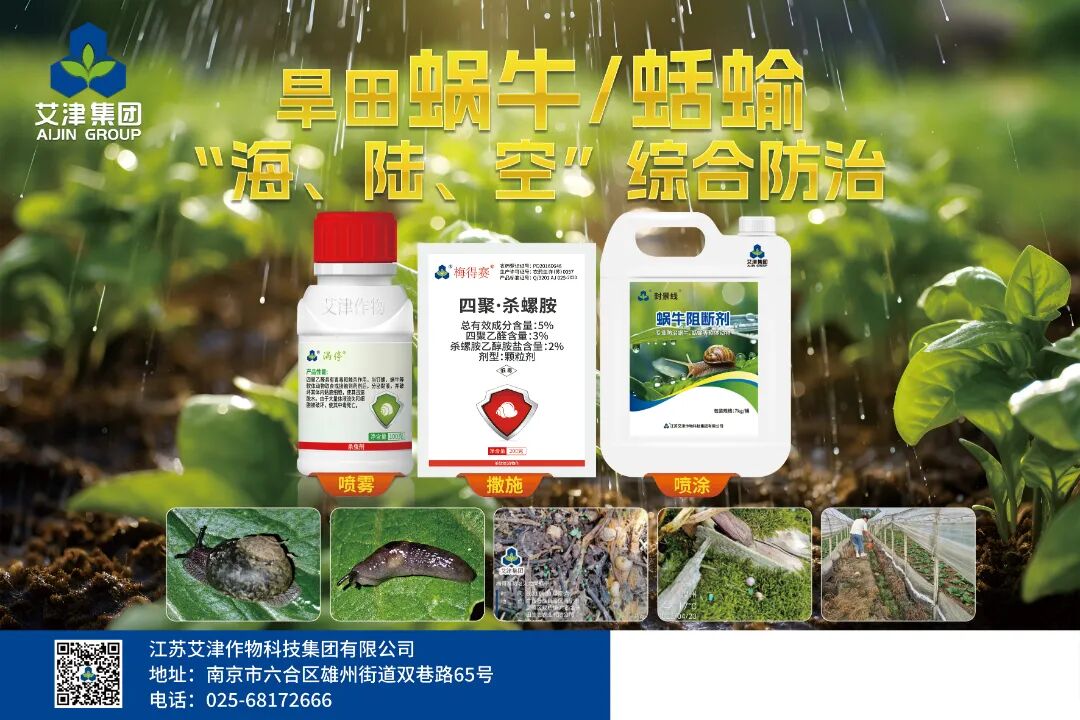 艾津集团销售额近15亿元，其创新产品独具匠心