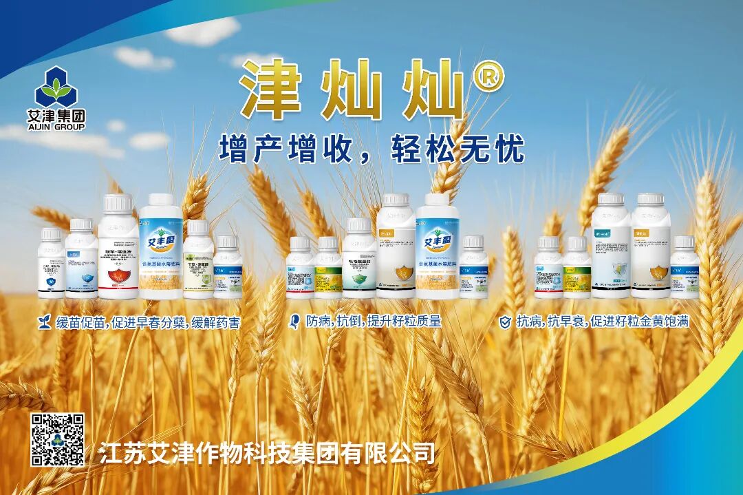 艾津集团销售额近15亿元，其创新产品独具匠心