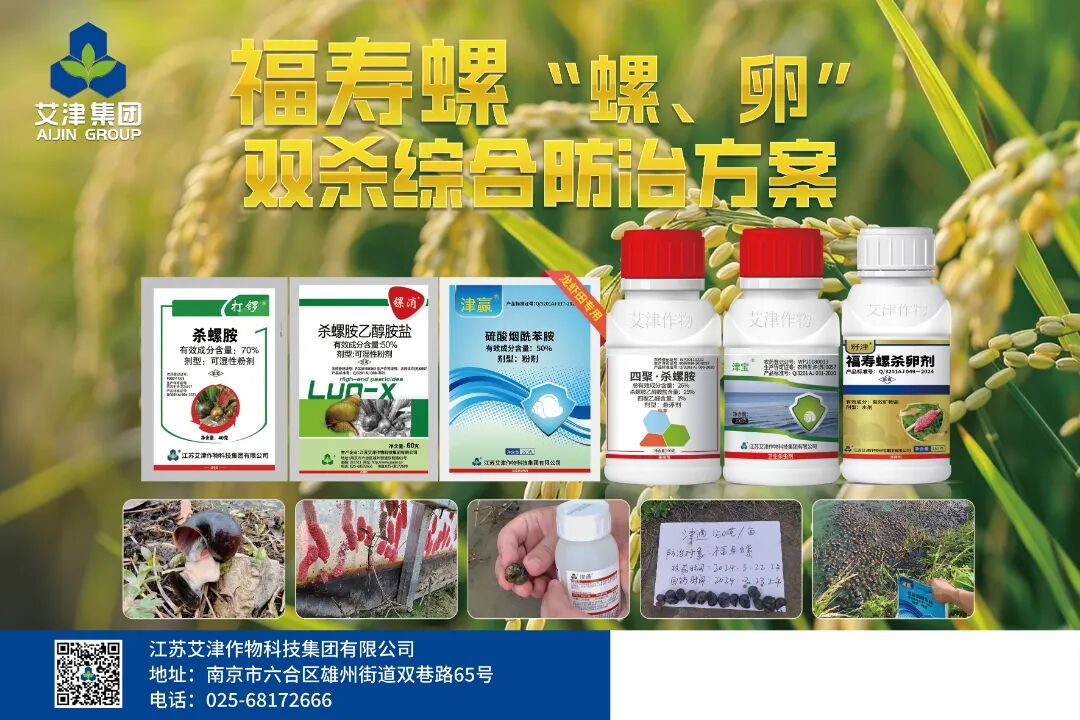 艾津集团销售额近15亿元，其创新产品独具匠心