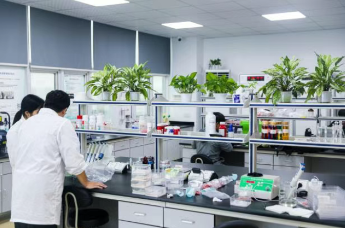 艾津集团销售额近15亿元，其创新产品独具匠心