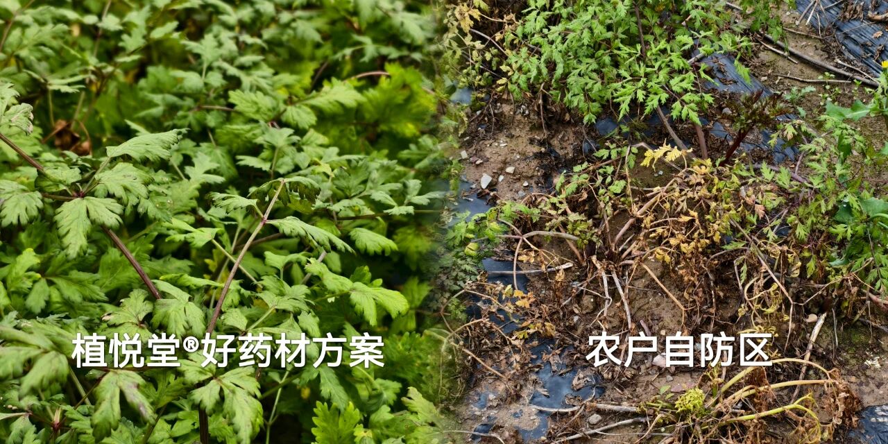 五大登记产品加持,明德立达全程健康管理方案表现卓越 五大登记产品加持,明德立达全程健康管理方案表现卓越