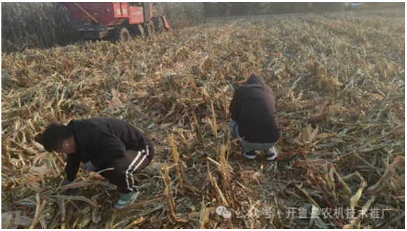开鲁县农机化技术推广服务站开展机收减损监测工作