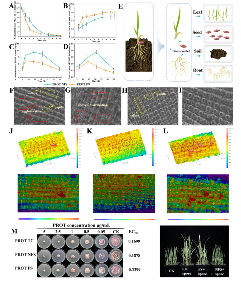 丙硫菌唑纳米悬浮剂，防治水稻恶苗病优势显著