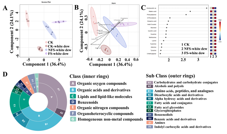丙硫菌唑纳米悬浮剂，防治水稻恶苗病优势显著