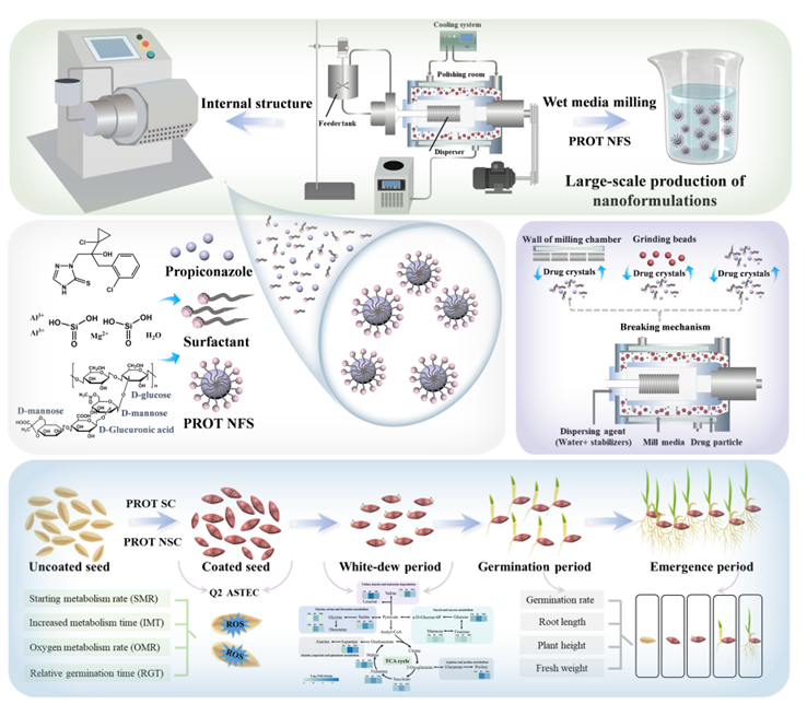 丙硫菌唑纳米悬浮剂，防治水稻恶苗病优势显著