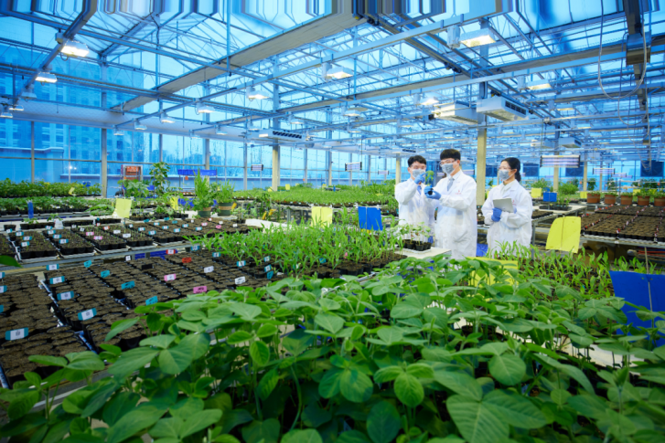 清原产品全线焕新，品牌视觉全面升级