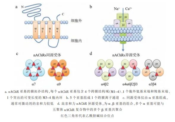 多杀菌素类杀虫剂最新研发进展