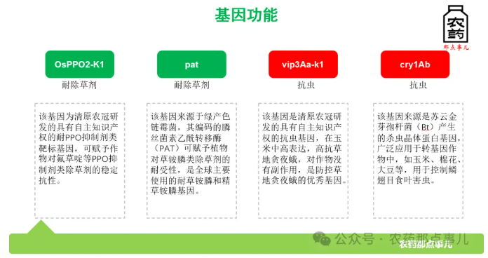 从化合物到性状配套，清原成功构建自主可控的PPO抑制剂除草技术体系