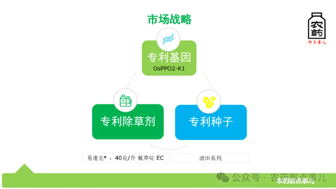 从化合物到性状配套，清原成功构建自主可控的PPO抑制剂除草技术体系