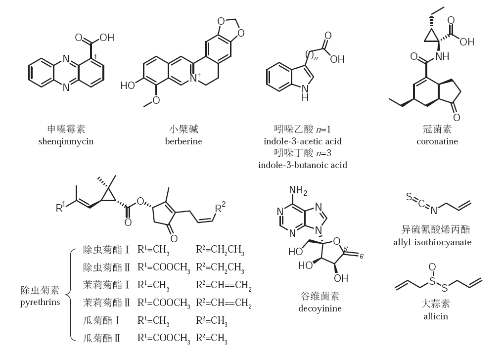 22种小分子生物农药研发进展