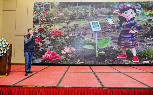 五行聚力,破局新生——2025新肥码头赢地训练营第三期在昆明成功举办 五行聚力,破局新生——2025新肥码头赢地训练营第三期在昆明成功举办