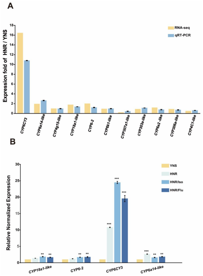 华中师范大学杨光富教授团队揭示异噁唑虫酰胺和氟雷拉纳的抗性机制