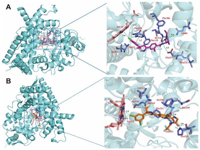 华中师范大学杨光富教授团队揭示异噁唑虫酰胺和氟雷拉纳的抗性机制