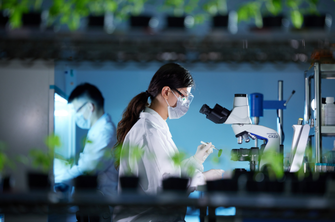 清原作物科学：获国家级主流媒体深度报道，彰显公司农业科技创新硬实力