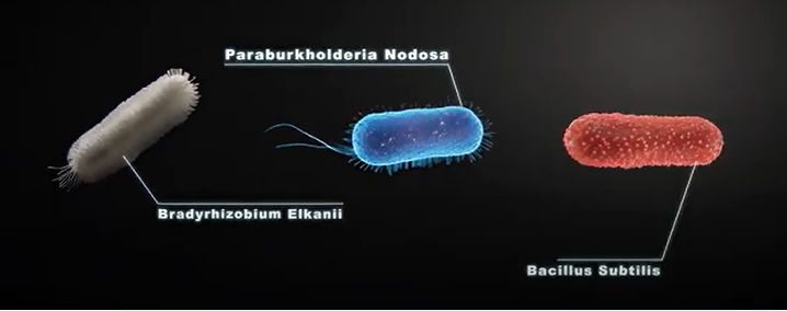 Innova Agrotecnologia：从资本青睐看生物制剂企业的创新之路