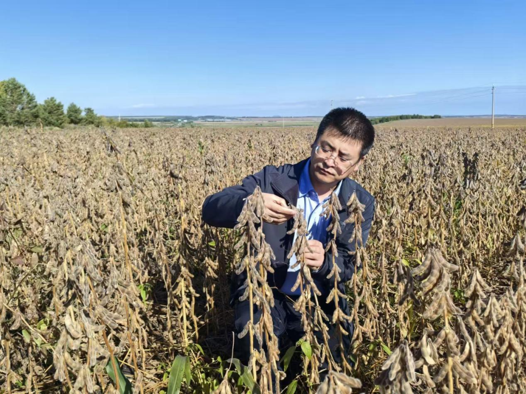40年潜心发展，国光股份未来5年将实现业绩翻番
