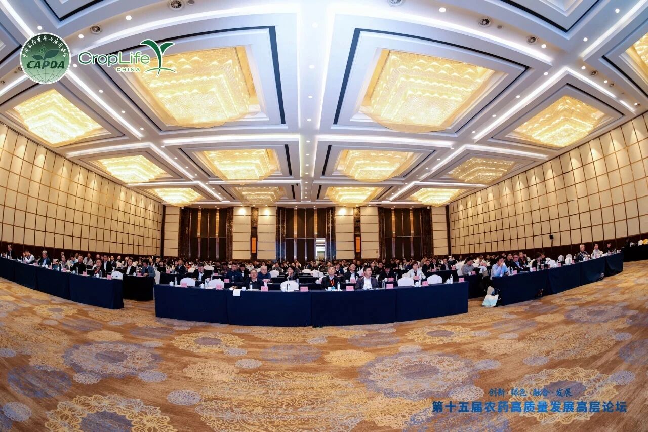 泰禾股份董事长分享企业创新转型实践