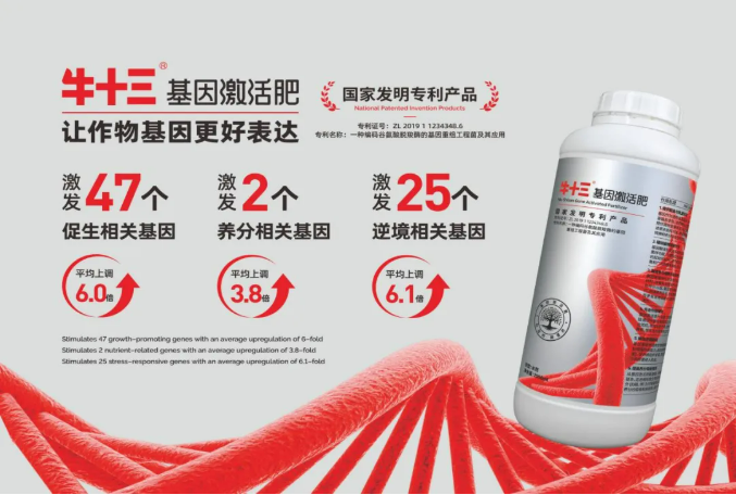 ″牛十三″一款新型肥料的技术逻辑:从营养补充到生物调控 ″牛十三″一款新型肥料的技术逻辑:从营养补充到生物调控