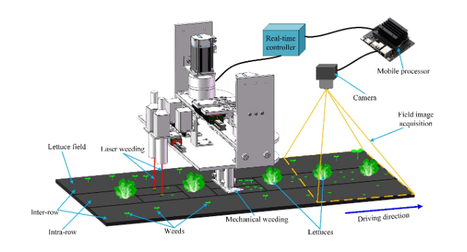 机械-激光协同除草新突破:中国农大团队研发特定作物场景下智能株间除草系统