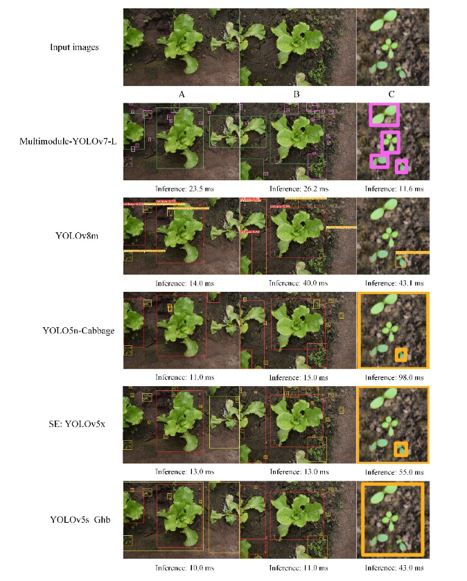 机械-激光协同除草新突破:中国农大团队研发特定作物场景下智能株间除草系统