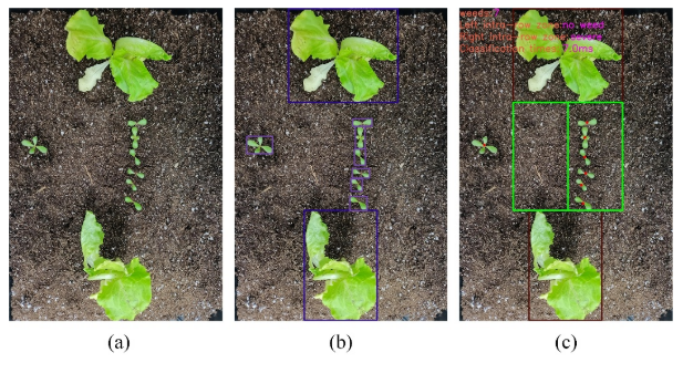 机械-激光协同除草新突破:中国农大团队研发特定作物场景下智能株间除草系统