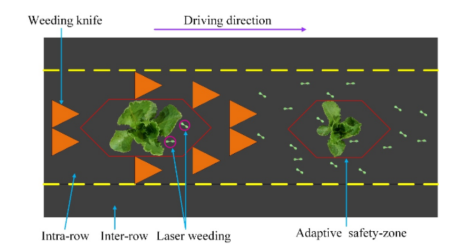 机械-激光协同除草新突破:中国农大团队研发特定作物场景下智能株间除草系统