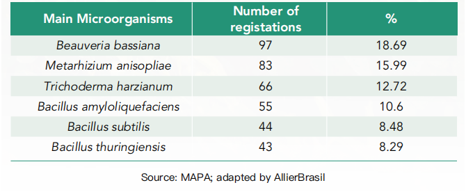 巴西生物投入品市场报告：从高速增长到理性整合的战略转型