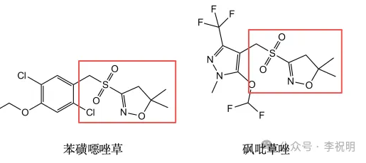 苯磺噁唑草：与砜吡草唑主体结构相似的新型水稻田除草剂