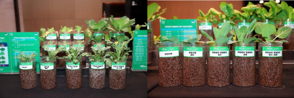 好吸收，起效快！拜耳德来®氨基酸镁重磅上市